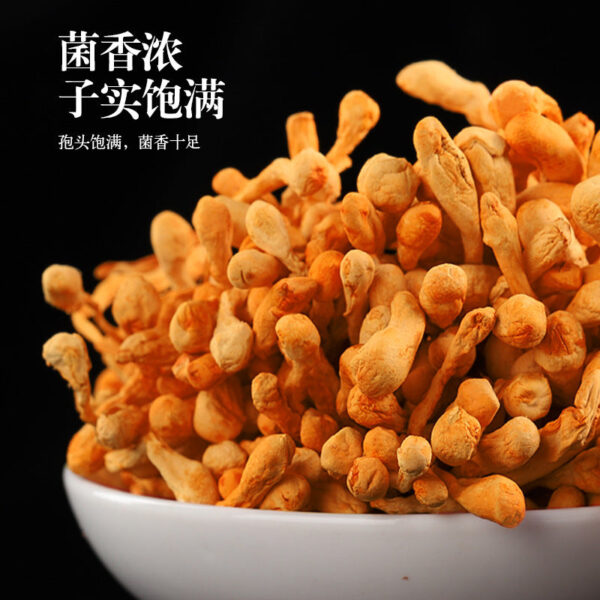 Cordyceps official flagship store dry goods 250g golden chrysalis cordyceps dried mushroom soup package stewed chicken soup from Cong Caohua commercial - Image 2