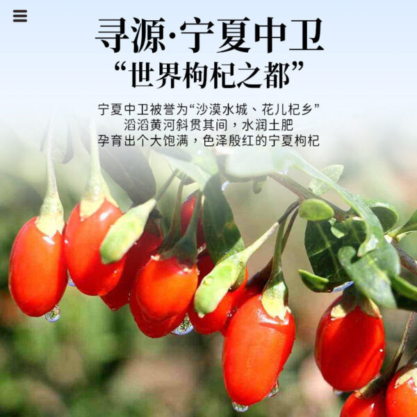 Fudonghai wolfberry gift box 360g Ningxia red wolfberry seeds Zhongning leave-in soup soaked in water, gifts wholesale distribution - Image 3