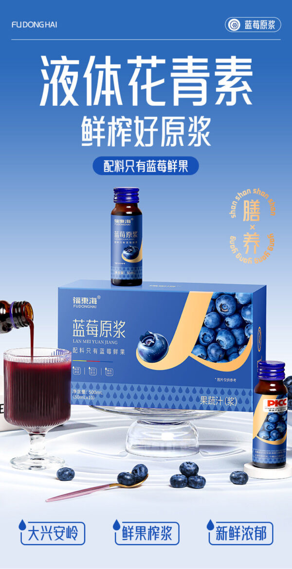Fudonghai blueberry puree 500ml (50ml x10 sticks) fresh fruit puree liquid anthocyanins wholesale distribution - Image 6