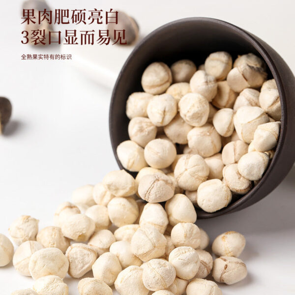 Fudonghai Moringa Seed 300g, Yunnan Old Tree Large Granular Chinese Herbal Medicine Moringa Fruit Soup Soaked in Water Wholesale - Image 5