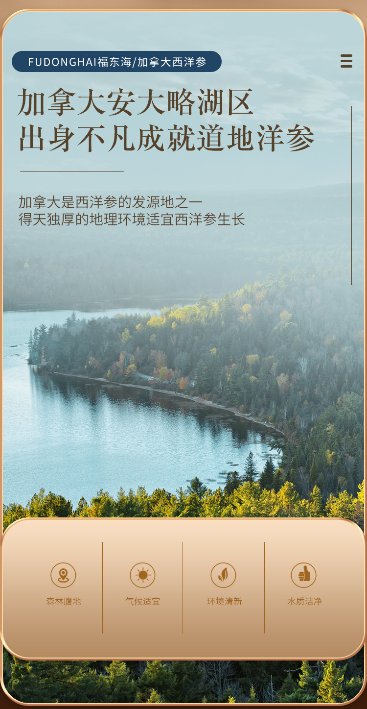 加拿大西洋参铁罐详情页_07