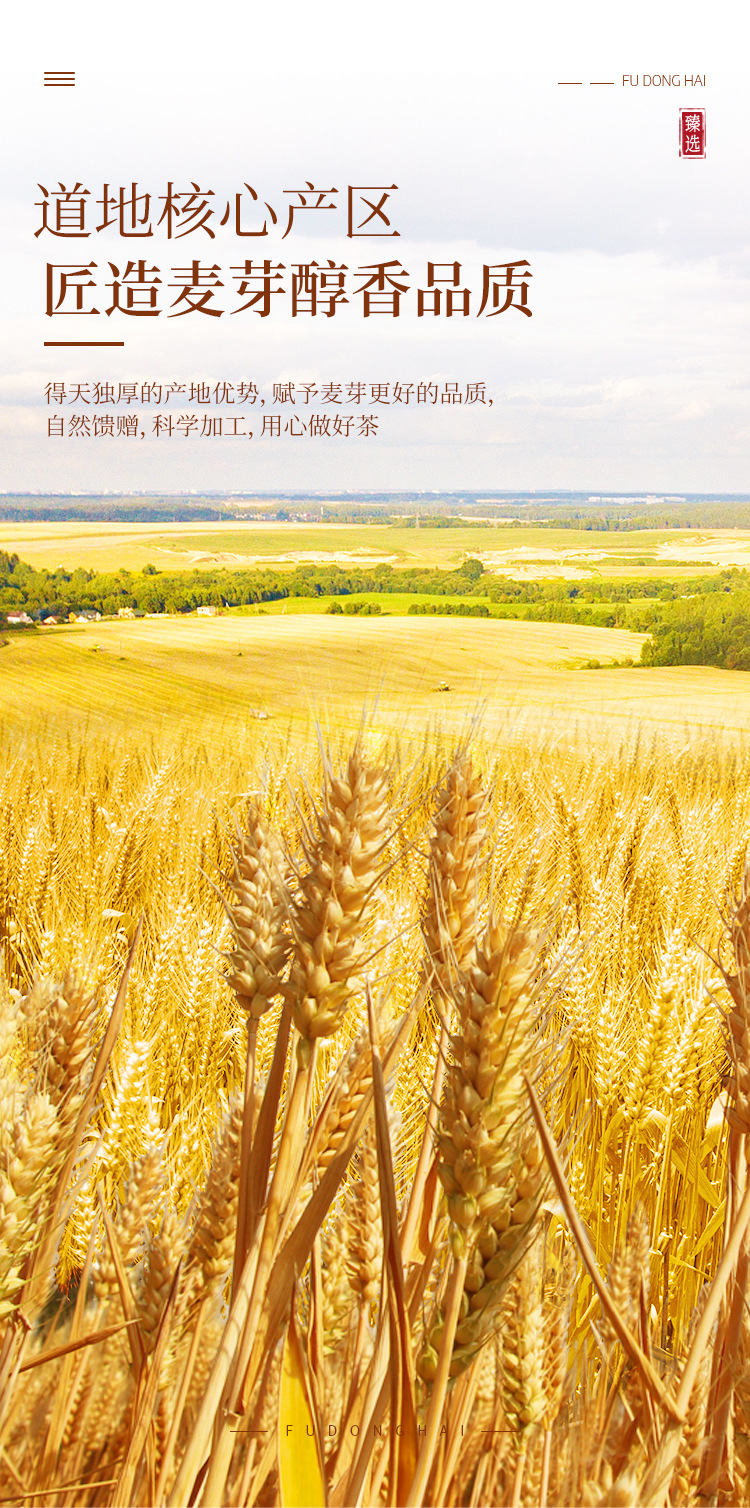 【详情页】炒麦芽500克袋FDH01010643_04