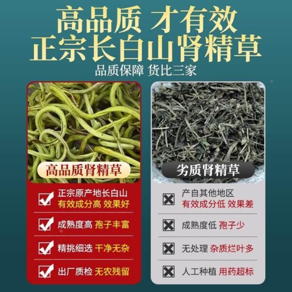Changbai Mountain Wild Kidney Essence Grass Genuine Official Flagship Store Golden Grass is called Fossil Grass Strong by Tea Supplements - Image 3
