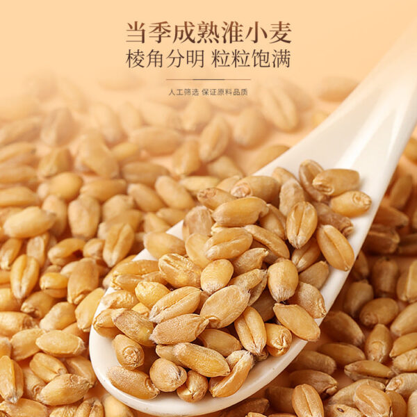 Fudonghai Ganmai Jujube Tea 150g Licorice Floating Wheat Red Date Combination Tea Selected Raw Materials Can Be Made into Tea Wholesale - Image 3