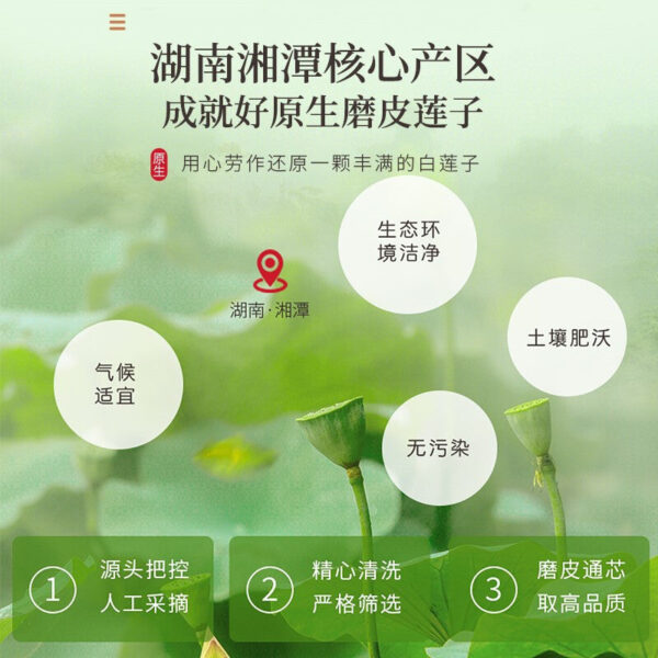 Fudonghai lotus seeds 400g Xiangtan core removal, peeling and core Xianglian seeds can be stewed with white lotus seeds and sent in soup - Image 3