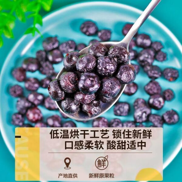 Dried blueberries, dried blueplums, dried fruit snacks, candied fruit snacks, preferred quality, convenient canning - Image 3