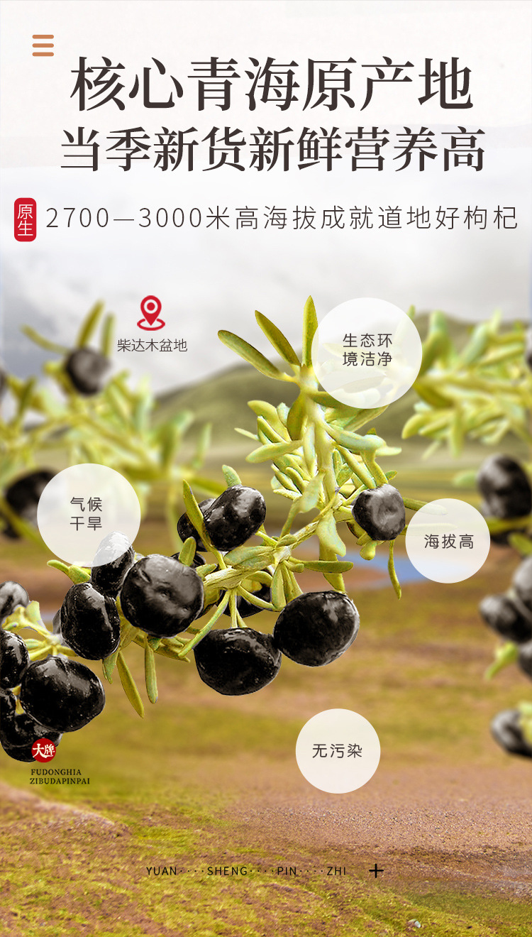 黑枸杞80克大果_10.jpg