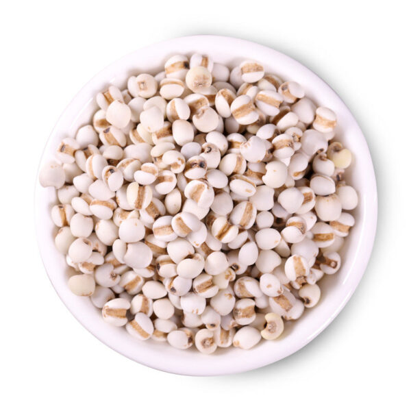 Fudonghai Small Barley 500g Guizhou Barley Rice Coix Seed Whole Grains Farmhouse New Goods Coix Seed - Image 4