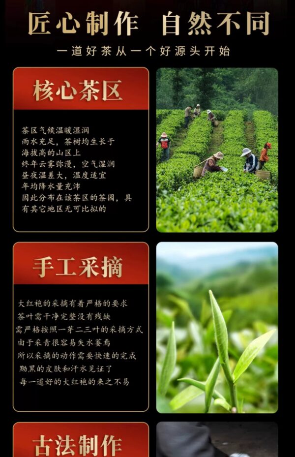 Wuyishan Dahongpao new camellia fruit-scented cinnamon strong-scented rock tea high-end gift box small package 500g - Image 5