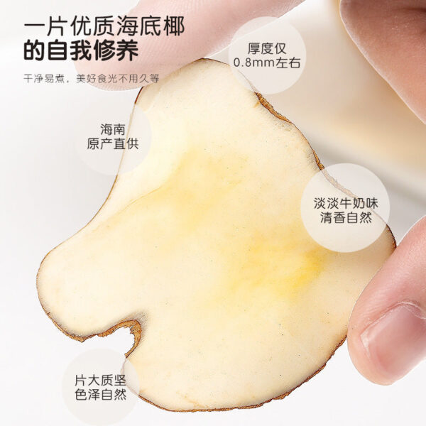 Fudonghai sea coconut 100g Hainan sea coconut flakes dry and fragrant Guangdong soup Sydney paste raw materials wholesale distribution - Image 3