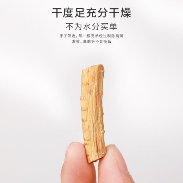 Fudonghai Codonopsis 120g/can, Gansu Codonopsis section Chinese herbal medicine wholesale Guangdong soup material Codonopsis strips - Image 3