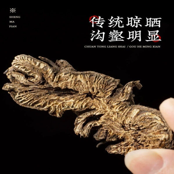 Cohosh Chinese Herbal Medicine Genuine Cohosh Tablets Raw Cohosh North Cohosh Green Cohosh Ghost Face Cohosh Powder New Center Tablets Wholesale - Image 2