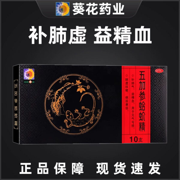 10 sticks of Gecko Essence of Sunflower Wujia Ginseng, nourishing lung qi and nourishing essence, blood vitality loss, lung deficiency, and weakness after cough