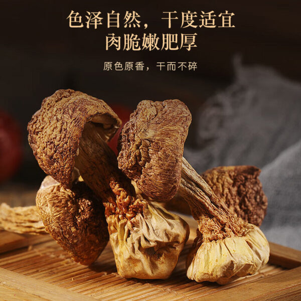 Fudonghai Yuanbei Abalone Morels Agaricus Mid-Autumn Festival Gift Box 275g Specialty Seafood Mushroom Dried Goods for Elders - Image 4