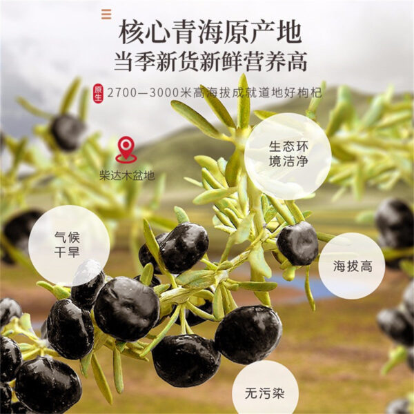 Fudonghai black wolfberry 250g/bottle Qinghai Nuomuhong dry supply medium fruit tea leaves black wolfberry seeds wholesale delivery - Image 4