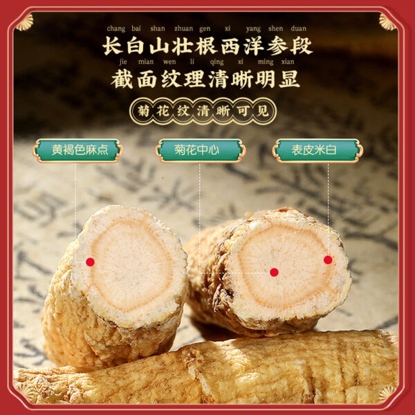 Fudonghai Funiu American Ginseng Gift Box Double Row 50g * 2 American Ginseng Short Branch Changbai Mountain Ginsenoside Tablets - Image 3