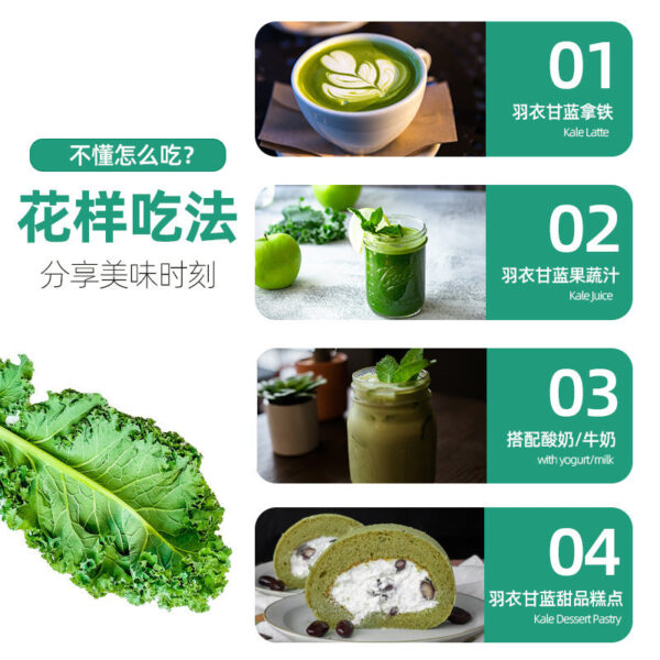 Fudonghai kale powder 80g/box pure powder kale green juice ready-to-drink vegetable juice powder meal replacement powder - Image 4