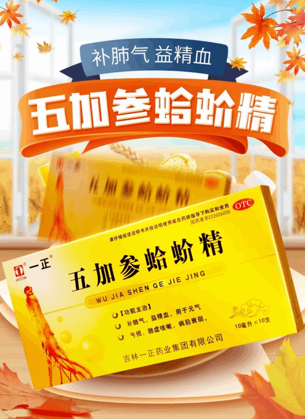 Yizhengwujia Gecko Essence 10 sticks/box, vitality deficiency, lung deficiency, weakness after cough, mouth replenishing lung qi service liquid - Image 6