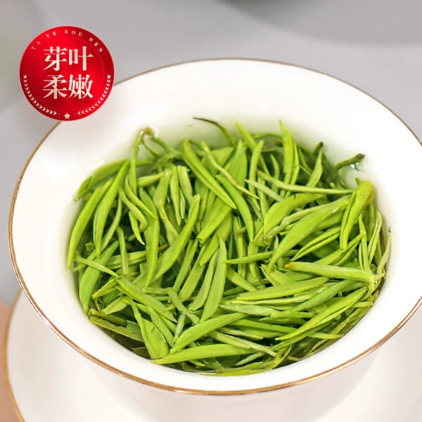 2025 Spring New Tea Maojian Tea Green Tea Authentic Yumingqian Bud Luzhou Fragrant Bulk Can Free Gift Pack 500g - Image 4