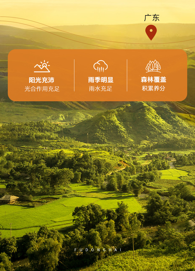 牛大力250克详情页_06.jpg