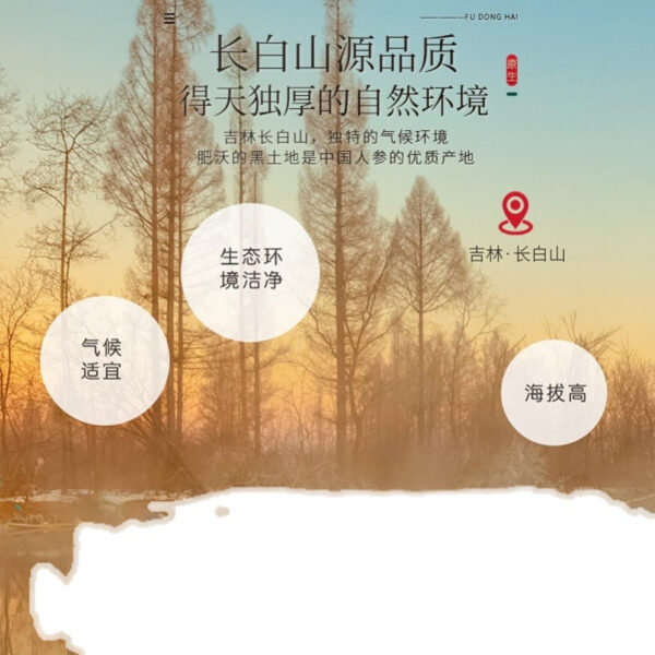Fudonghai American ginseng 200g, wholesale Jilin American ginseng slices Changbai Mountain source sliced large gift box gift - Image 4