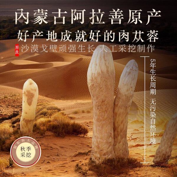 Fudonghai Cistanche 105g/can, Chinese herbal medicine Alxa oil Cistanche, hard Cistanche slices big cloud - Image 3