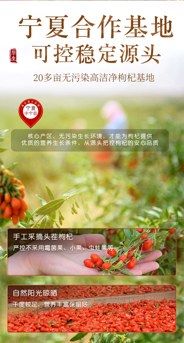 枸杞子190克大果详情页_09.jpg
