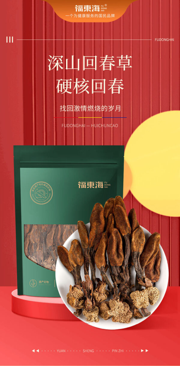 Fudonghai Huichun grass 100g Yunnan Chinese herbal medicine wholesale Dingtianzhu dry goods tea soaked in water male tonic delivery - Image 6