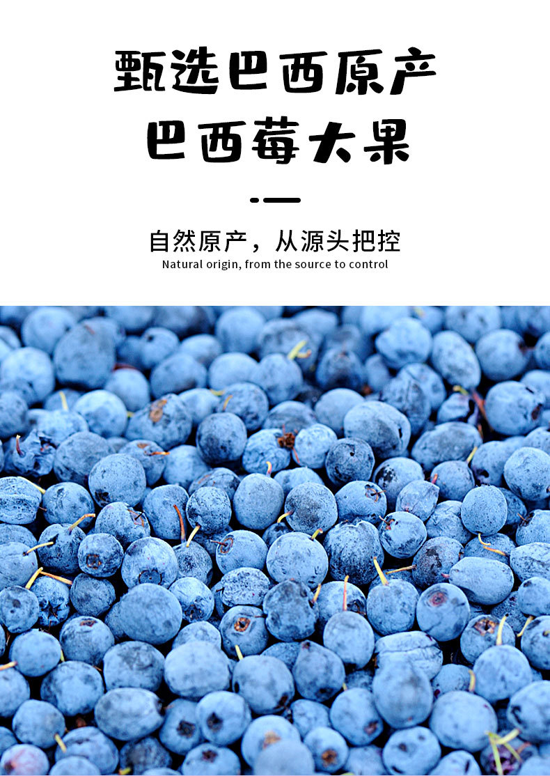巴西莓粉详情_05.jpg
