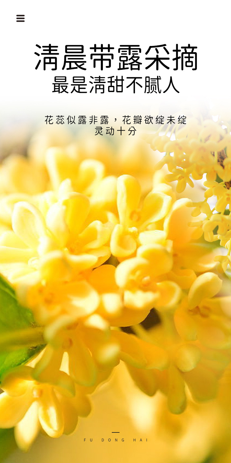 桂花30克_06.jpg