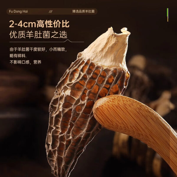 Fudonghai morels 50g/box, Yunnan large wild mushrooms dry goods soup materials tonic wholesale distribution - Image 3