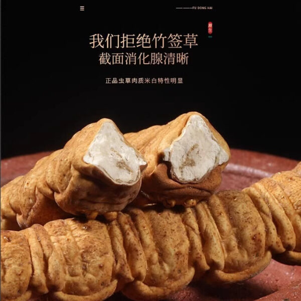 Fudonghai Cordyceps sinensis 5g (4 pieces/g) Qinghai independent packaging gift box tea gift wholesale delivery - Image 4