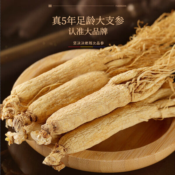 Fudonghai ginseng 50g/box, raw sun-dried white ginseng under the forest, fresh people's three, Guangdong soup wholesale agent - Image 2