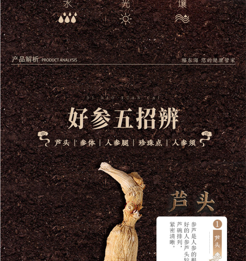 人参_06.jpg