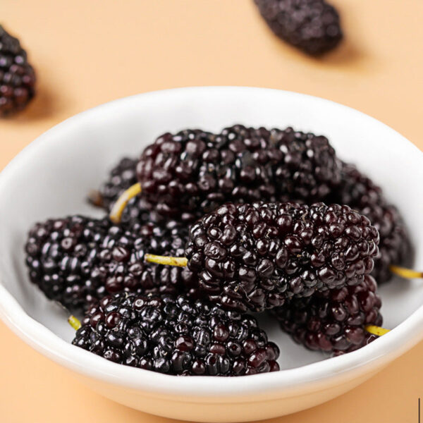 Fudonghai mulberry 250g natural ripe sand-free dried mulberry soaked in water tea rich in anthocyanins dried fruit wholesale - Image 3