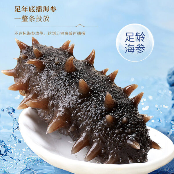 Fudonghai Golden Soup Sea Cucumber Millet Porridge 252g Instant Chicken Soup Soup Breakfast Nutrition and Health Meal Replacement Wholesale Replacement - Image 4