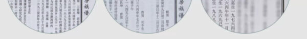Zhongmin Hongtai Premium Luxiang Type Fujian Anxi Tieguanyin Orchid Fragrant Tea Small Bag Boxed 70g/G213 - Image 5