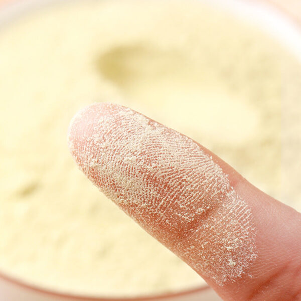 Fudonghai fried chicken neijin powder 250g, wholesale food grade ultra-fine powder powder pure chicken neijin broken wall hair - Image 3