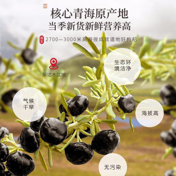 Fudonghai black wolfberry 80g/can wholesale Qinghai original genuine new goods in the season super big fruit black wolfberry dried - Image 3