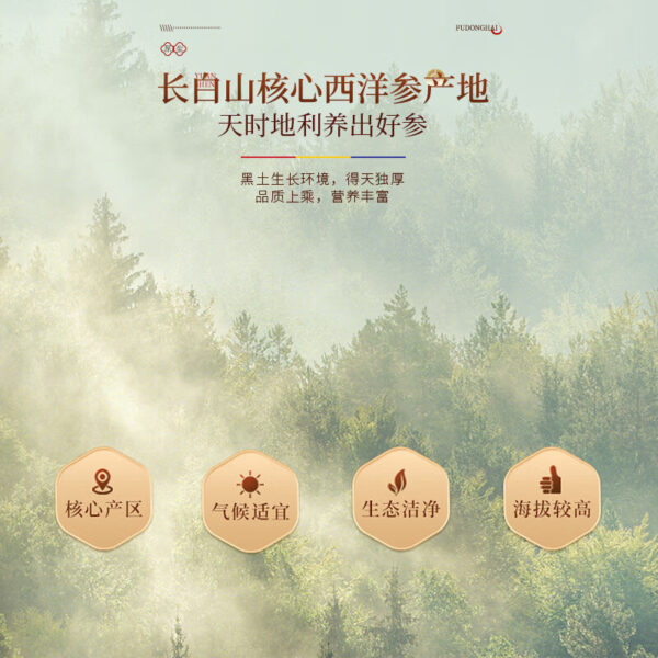 Fudonghai American Ginseng Slices 250g Changbai Mountain 0.8-1 Chinese Ginseng Slices Genuine Tea Wholesale - Image 4