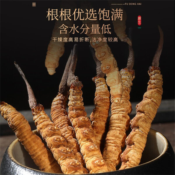 Fudonghai Cordyceps sinensis 4-5 pieces 5g/box Qinghai origin high altitude Cordyceps sinensis wholesale first freeze-dried gift box - Image 2
