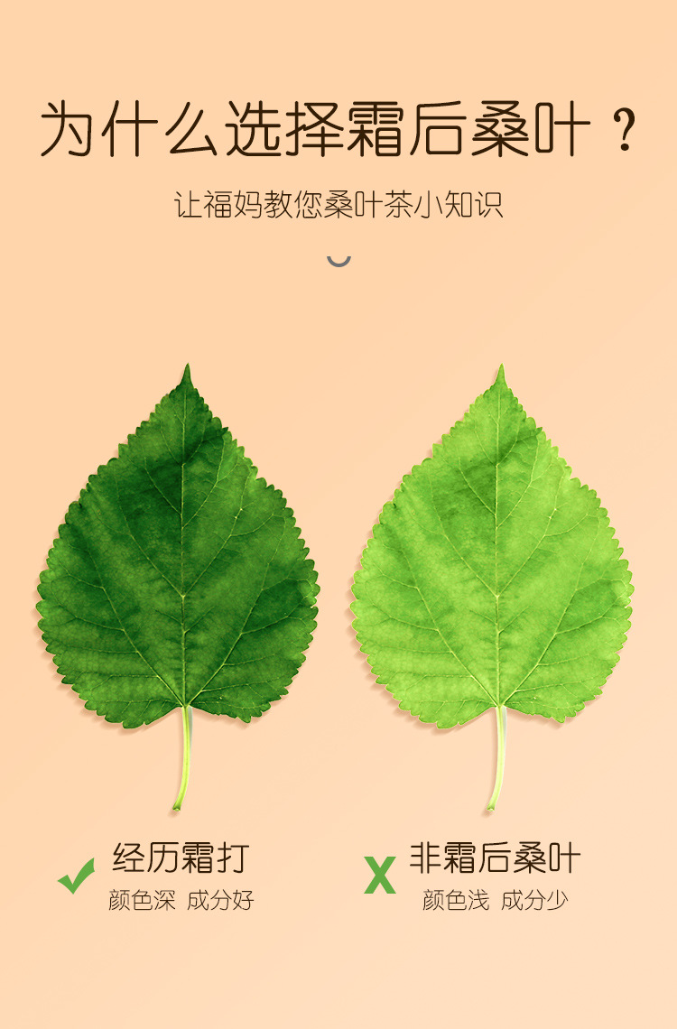 桑叶茶120克详情页_04.jpg
