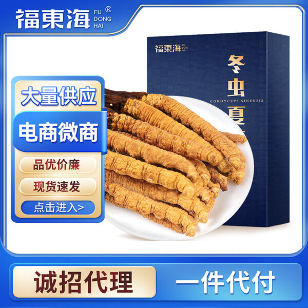 Fudonghai, Cordyceps sinensis, wholesale Cordyceps sinensis selected 4 pieces/gram foot, dried Cordyceps sinensis, Cordyceps sinensis line gift