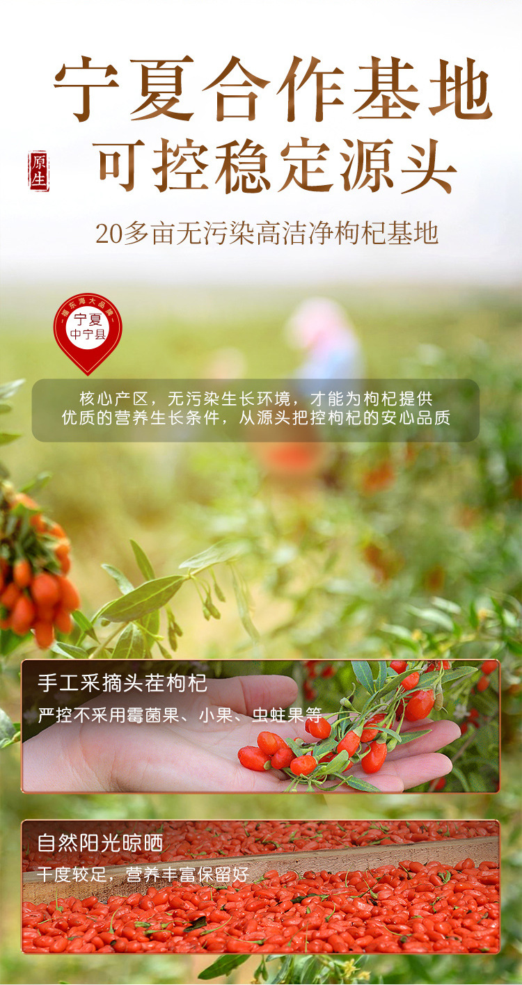 福礼-枸杞红枣桂圆_07.jpg