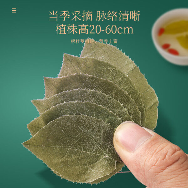 Fudonghai Epimedium leaves 50g/can whole leaf medicinal materials Shaanxi men's tea male nourishing sparkling wine materials health tea - Image 2