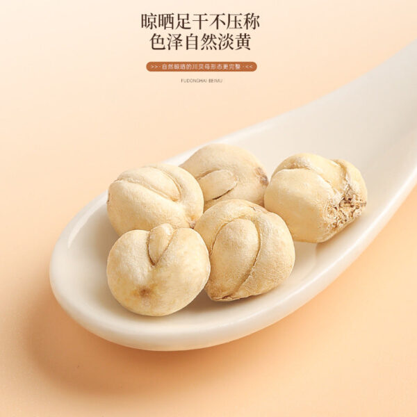 Fudonghai Fritillary 50g Sichuan dry goods wholesale Sichuan Aba Prefecture Sichuan Fritillary origin source New goods without contamination - Image 4