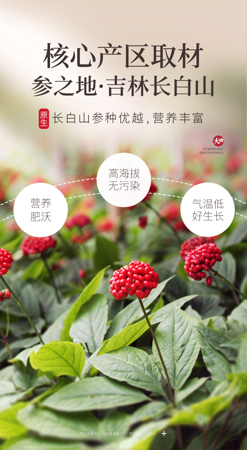 西洋参250克_04.jpg