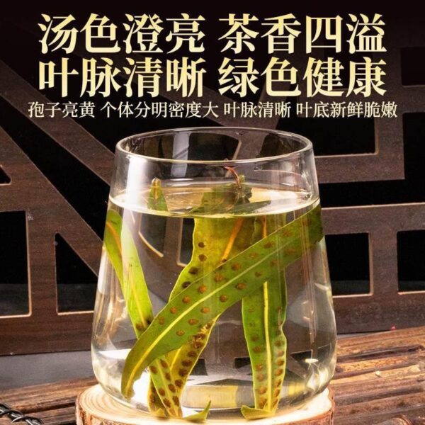 Changbai Mountain Wild Kidney Essence Grass Genuine Official Flagship Store Golden Grass is called Fossil Grass Strong by Tea Supplements - Image 5