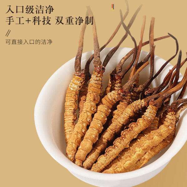 Fudonghai Cordyceps sinensis gift box 4g (14 sticks) Qinghai source Cordyceps dried soup gift delivery wholesale - Image 3