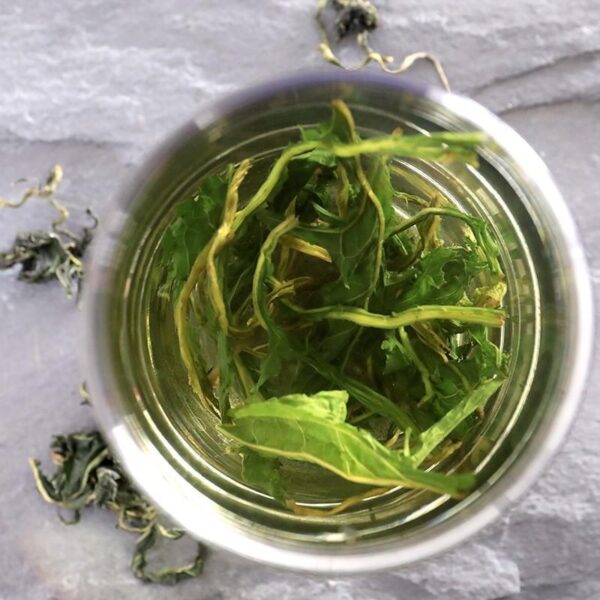 Dandelion tea mother-in-law Ding Pudong leaves soaked in water, drinking fresh dry goods brewed, canned, fragrant, fresh and always ready, good tea - Image 3